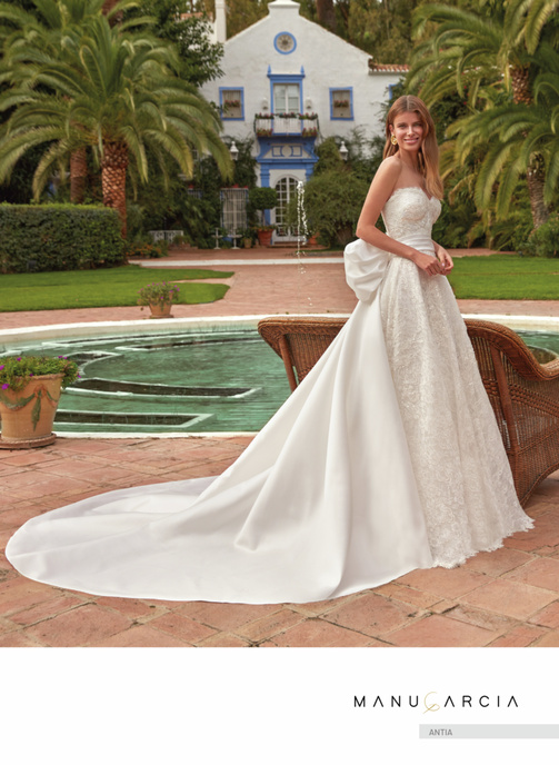 Model ANTIA
